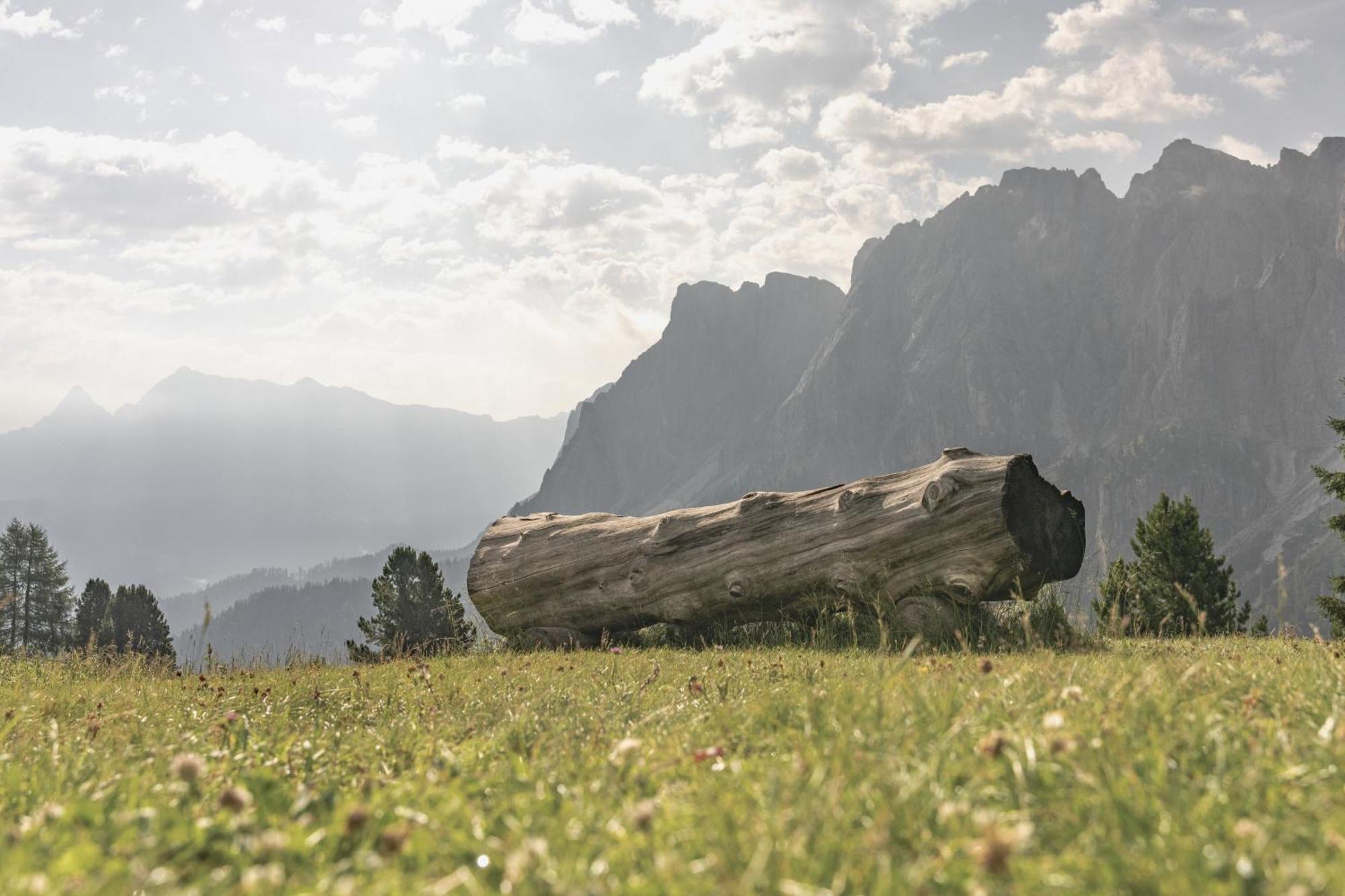Ciasa Iachin - Dolomites Dream Retreat Apartment San Martino in Badia Exterior foto