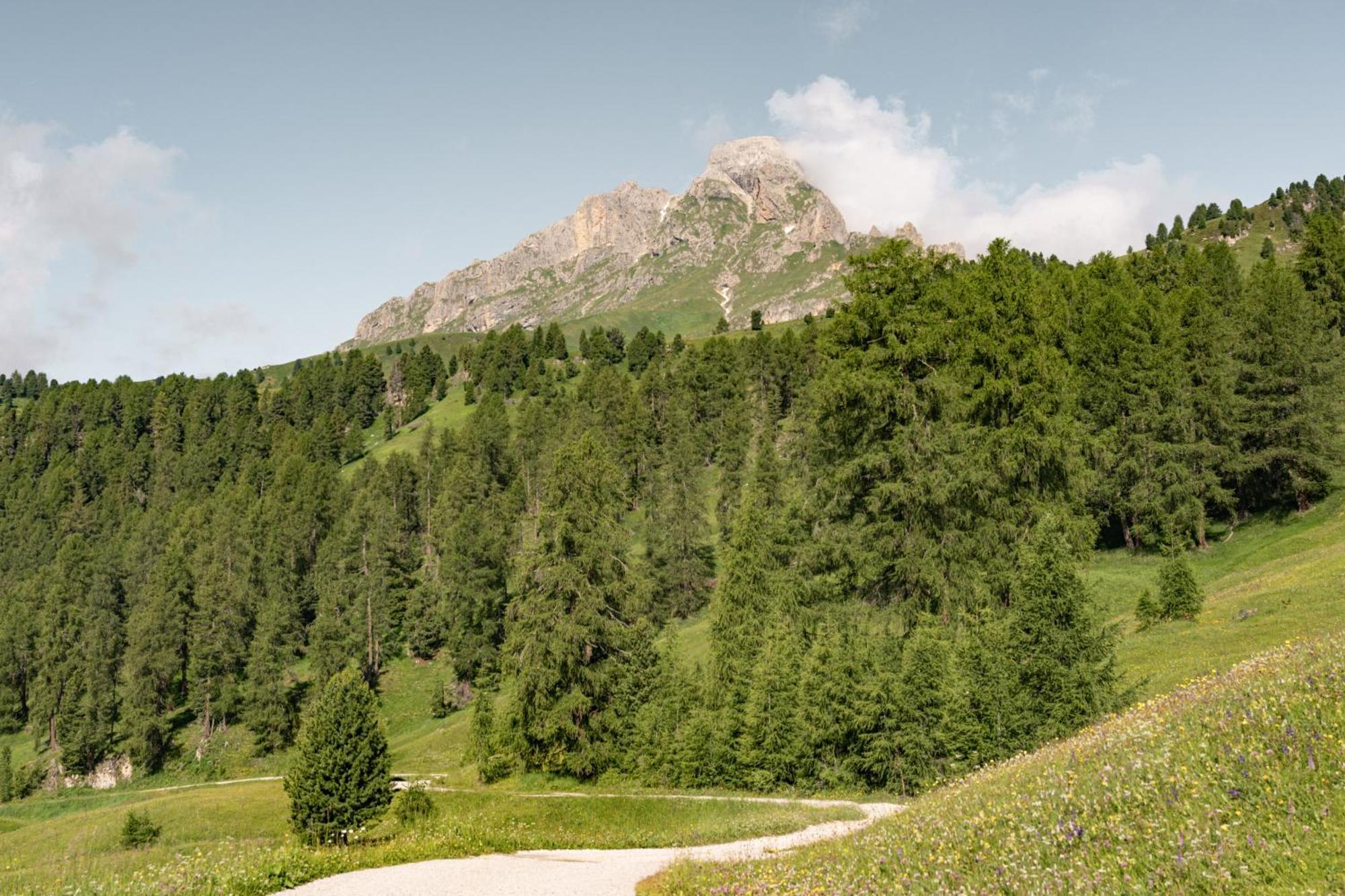 Ciasa Iachin - Dolomites Dream Retreat Apartment San Martino in Badia Exterior foto