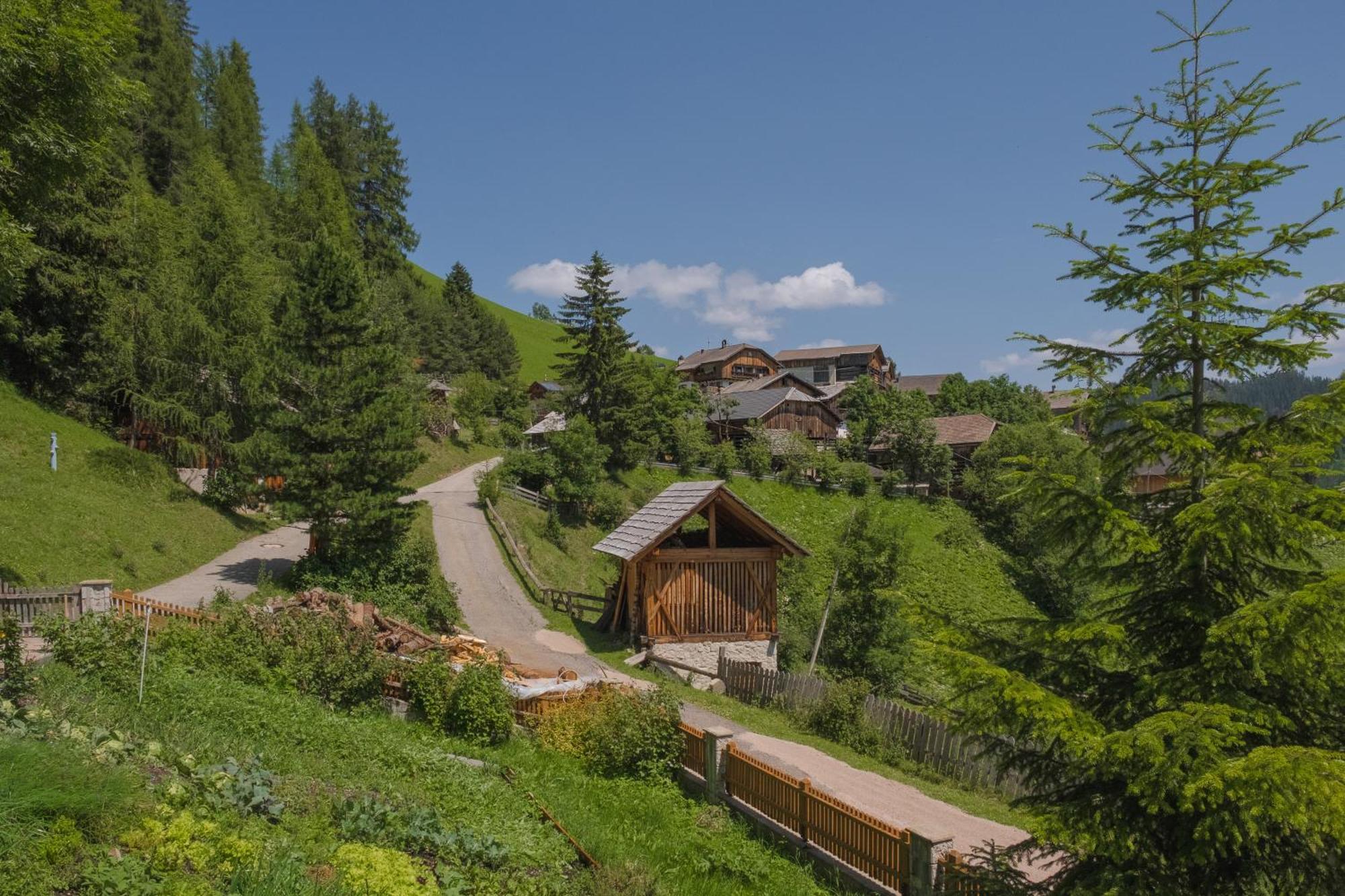 Ciasa Iachin - Dolomites Dream Retreat Apartment San Martino in Badia Exterior foto