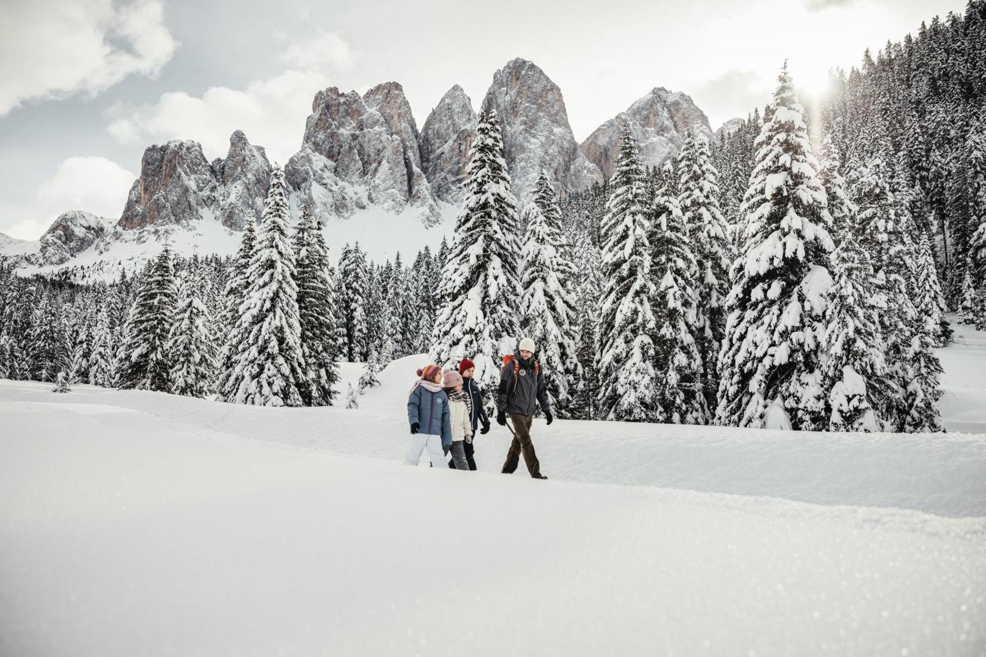 Ciasa Iachin - Dolomites Dream Retreat Apartment San Martino in Badia Exterior foto