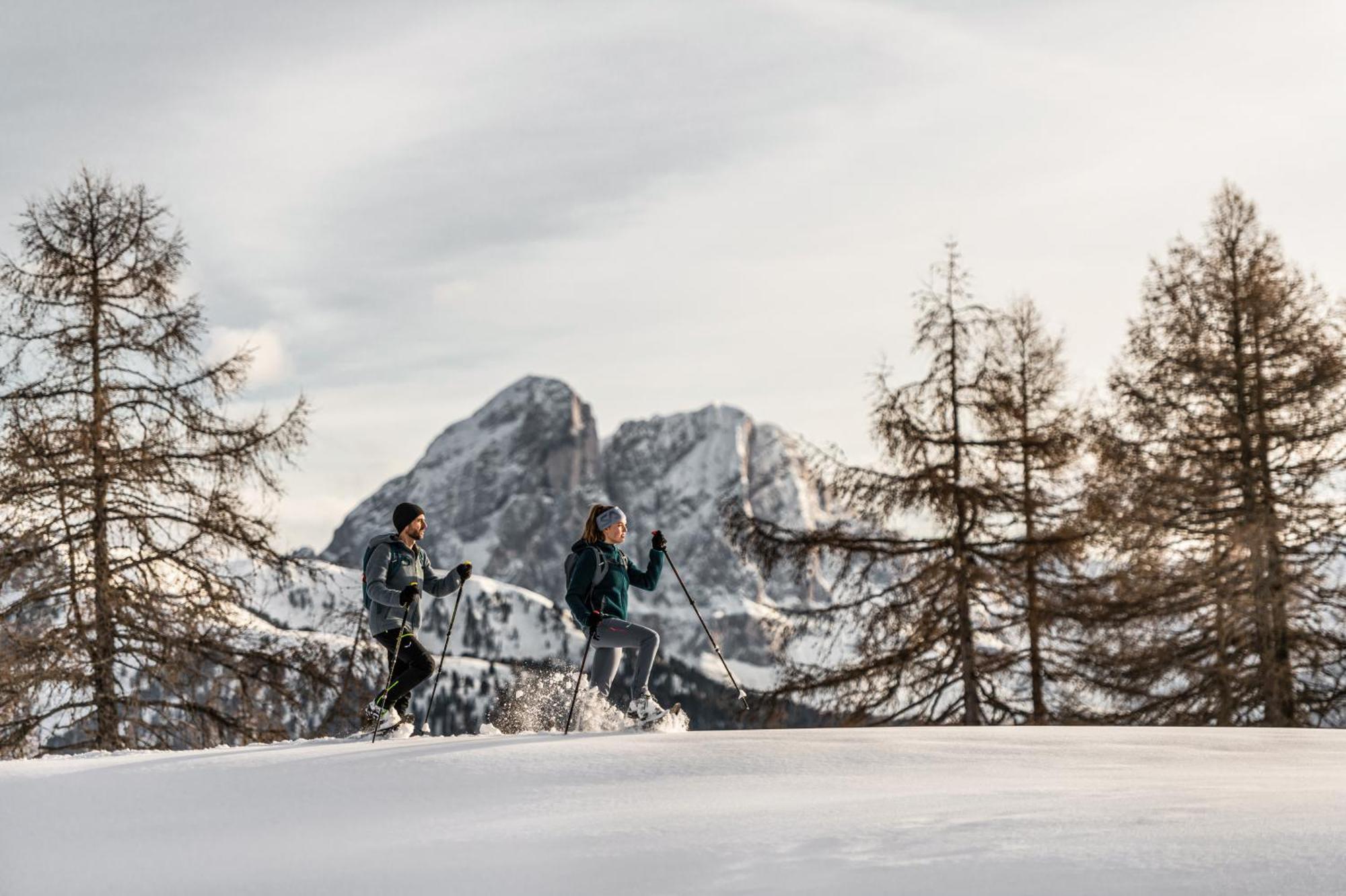 Ciasa Iachin - Dolomites Dream Retreat Apartment San Martino in Badia Exterior foto