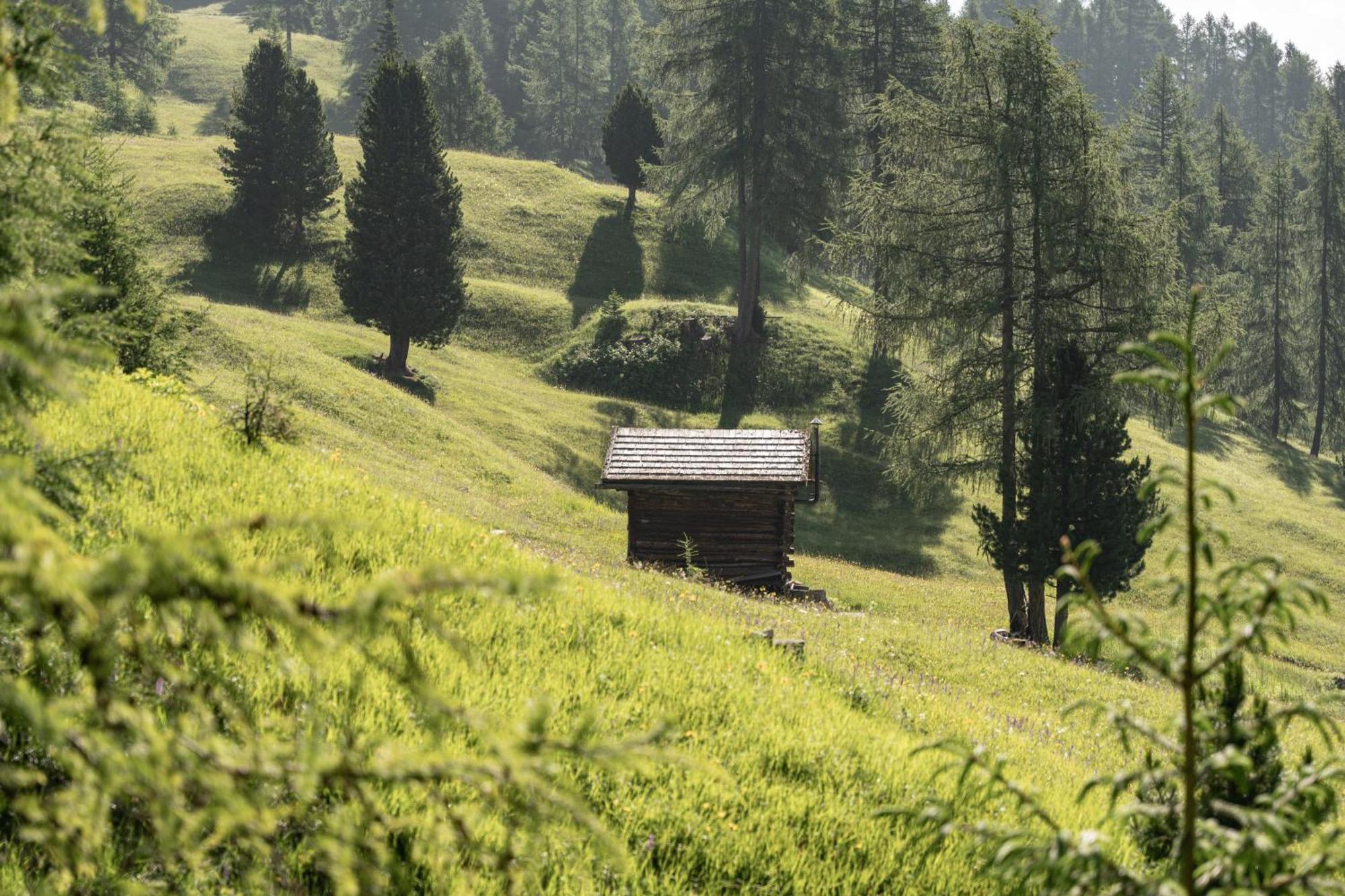 Ciasa Iachin - Dolomites Dream Retreat Apartment San Martino in Badia Exterior foto