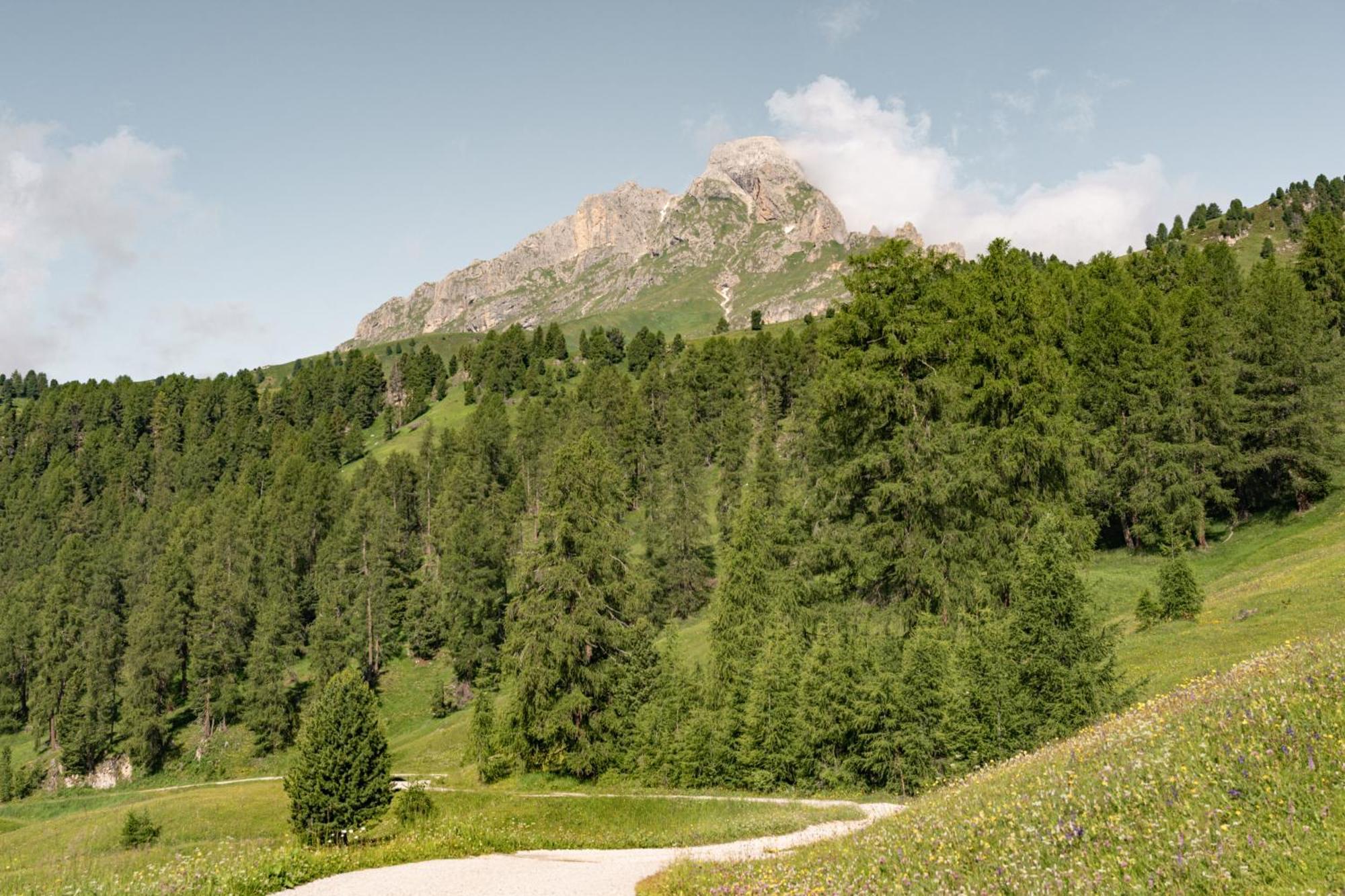 Ciasa Iachin - Dolomites Dream Retreat Apartment San Martino in Badia Exterior foto
