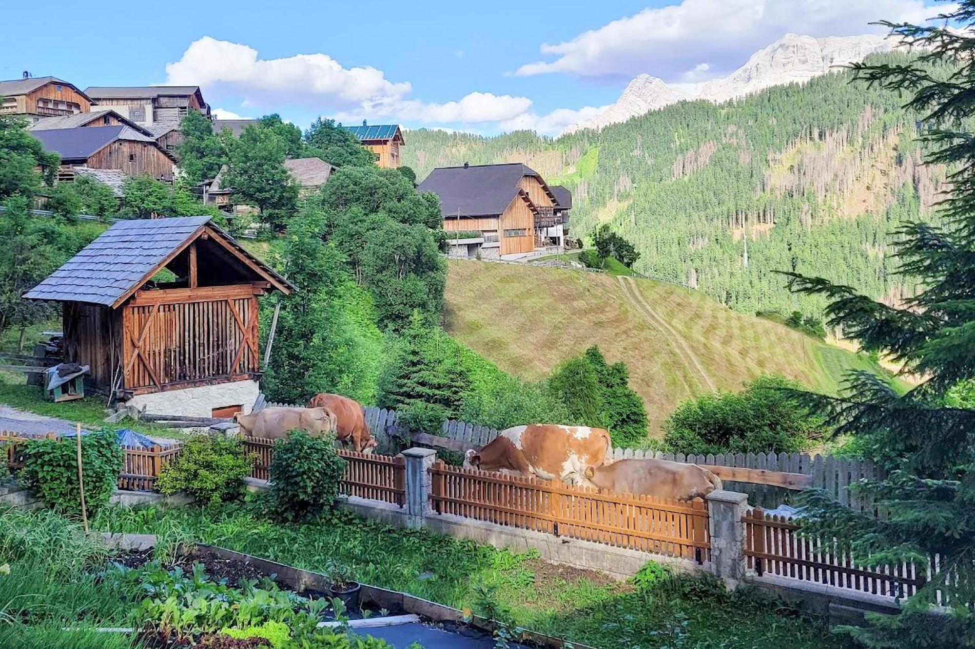 Ciasa Iachin - Dolomites Dream Retreat Apartment San Martino in Badia Exterior foto