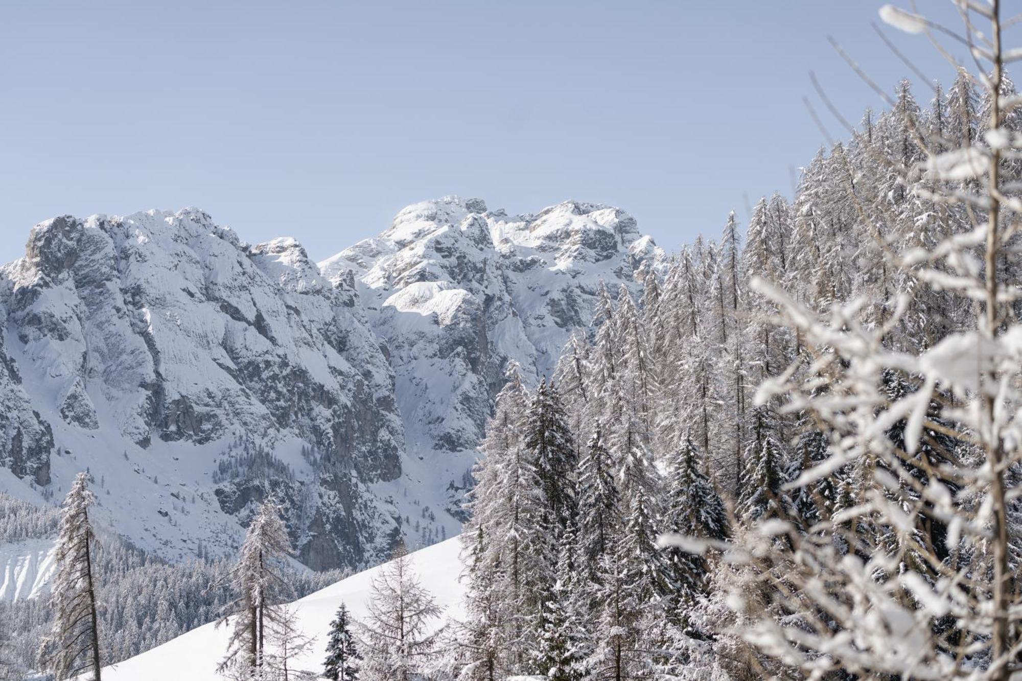 Ciasa Iachin - Dolomites Dream Retreat Apartment San Martino in Badia Exterior foto